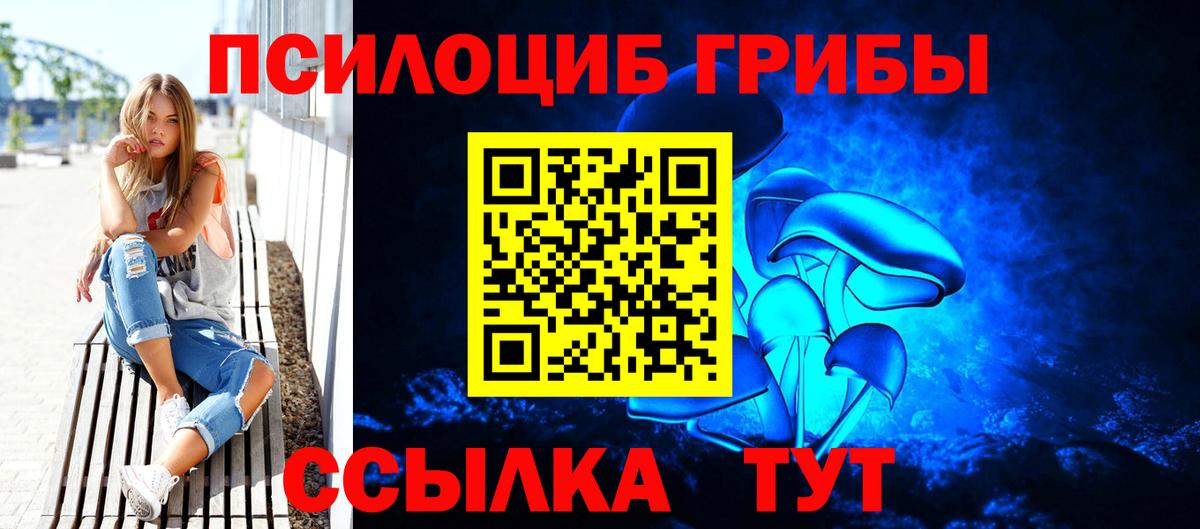 Псилоцибиновые грибы Елизово