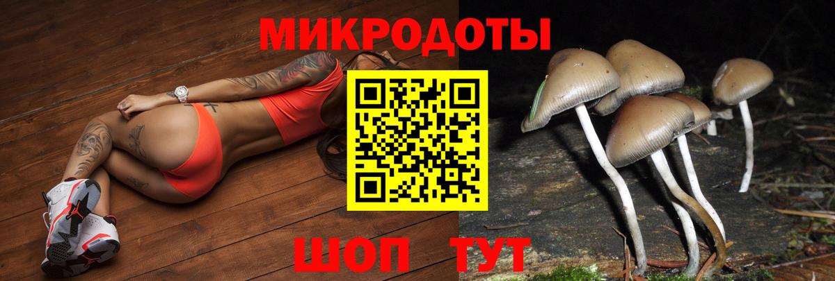Елизово  Псилоцибиновые грибы Cubensis  Псилоцибиновые грибы Cubensis  Вход с VPN 