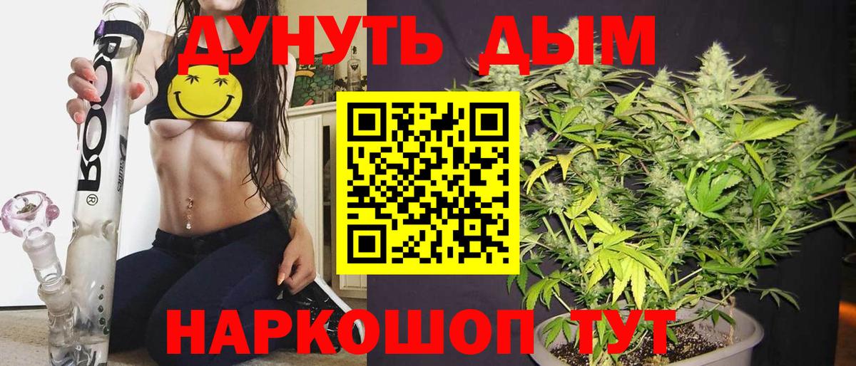 Конопля гибрид Елизово